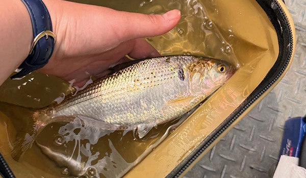 息抜きに地元の友だちと海釣りへ